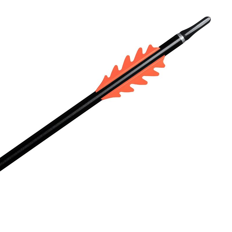 Bjorn DragonFlight 225